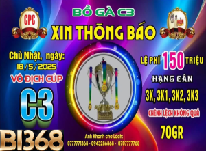 vô địch cup c3 lần 11